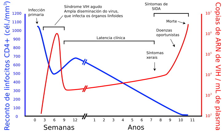 File:Hiv-timecourse gl.svg