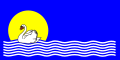 Drapeau de Widuchowa (gmina)