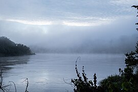 Parque Nacional del Manu 042.jpg