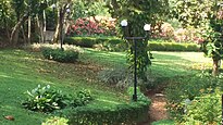 Pilikula Botanical Garden - Peace Lilies near the entrance