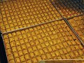 Trays of "baklava" in Istanbul