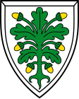 Aichach címere