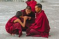 India. Monks in discussion in West Bengal.