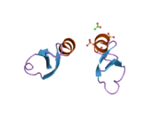 2nle: Human beta-defensin-1 (Mutant Gln11Ala)