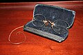 Pince-nez with chain, earhook, and case