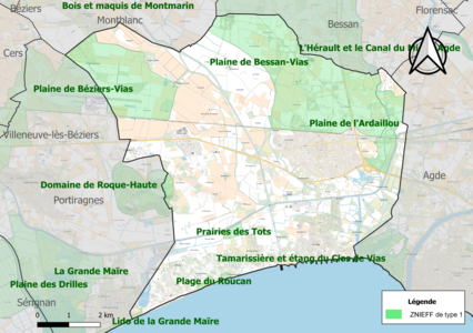 Carte des ZNIEFF de type 1 sur la commune.