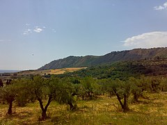 88069 Squillace, Province of Catanzaro, Italy - panoramio (1).jpg