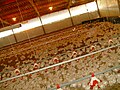 Ferme d'élevage intensif de poulets, (en) kfar Yehoshua