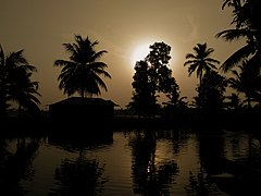 Kuttanad kerala.jpg