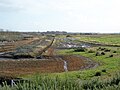 Thumbnail for File:Land given up to the sea - geograph.org.uk - 5977704.jpg