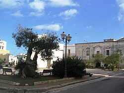 Piazza Mercato