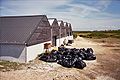 Sac poubelles à l'Île de Sein