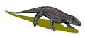 Varanops brevirostris