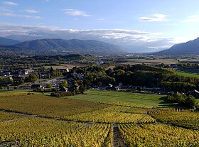 Vue de Brame-Farine à gauche du Grésivaudan depuis les vignobles de Montmélian au pied du massif des Bauges au nord.