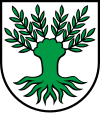 Wappen von Widen