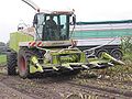 Claas Jaguar 870