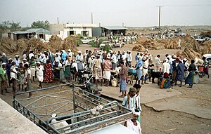 Market of Bayt al-Faqih