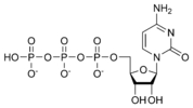 Chemical structure of cytidine triphosphate