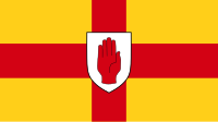 Leinsters flag