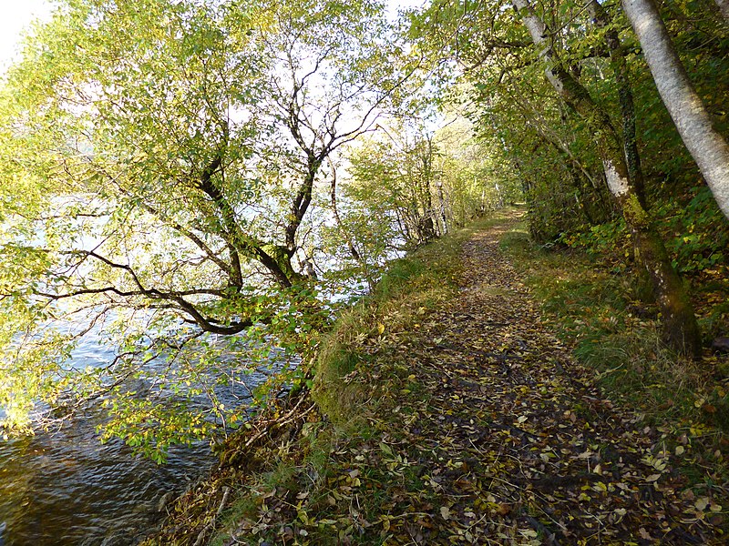 File:The Great Glen Way near Loch Oich - geograph.org.uk - 3735743.jpg