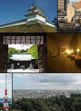 Dari kiri ke kanan, atas ke bawah : Utsunomiya Castle, Statue of gyoza Kuil Futaarayama, Ōya History Museum Utsunomiya Tower, Panorama Kota Utsunomiya