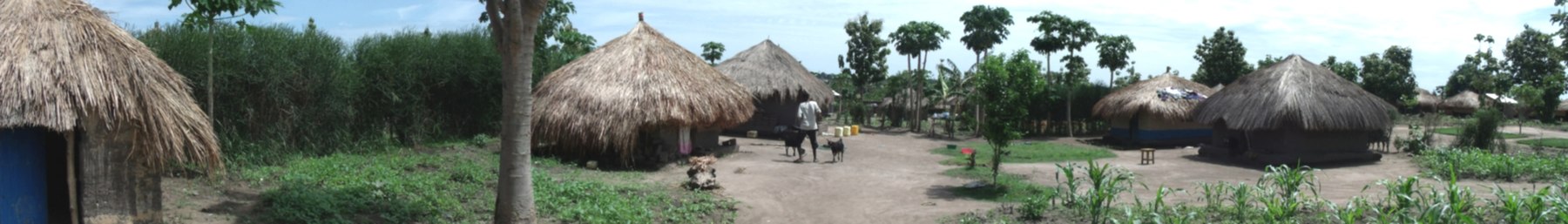 Strohutten in het township Yei