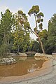 * Nomination Pond in National Garden of Athens. --A.Savin 09:59, 15 August 2013 (UTC) * Promotion Good quality. --Smial 13:16, 15 August 2013 (UTC)