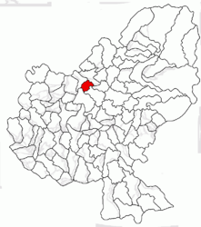 Location in Mureș County