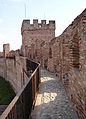 Veduta dal camminamento di ronda delle mura medievali