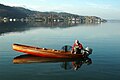 Fisherman on lake Wörth