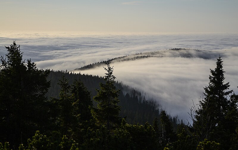 File:Autumn in Hrubý Jeseník mountains, Czech Republic 03.jpg