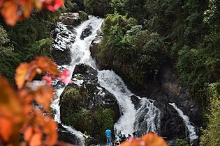 Tequendamita narda