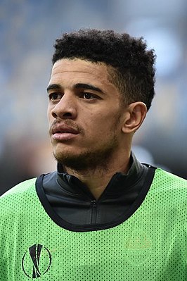 Taison (2013)