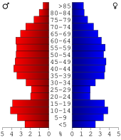 Bevolkingspiramide Cass County