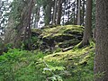 Die Bastei am Hang des Göltzschtales bei Grünbach