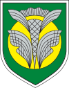 Brasão oficial de Värska