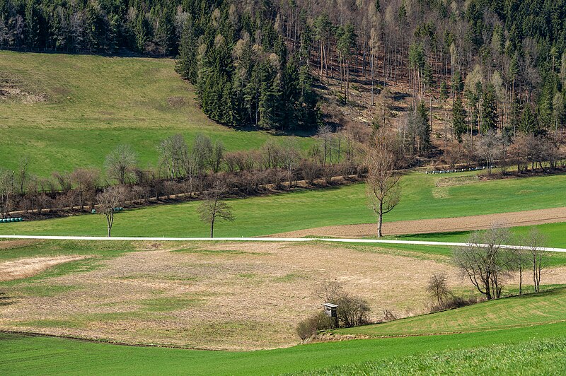 File:Magdalensberg Magdalensberg Straße Landschaft 29032023 9860.jpg