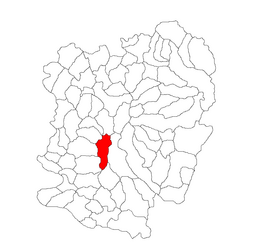 Location in Caraș-Severin County