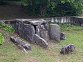 Dolmen du Plant de Rives à Auvernier NE