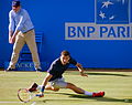 Thumbnail for File:Grigor Dimitrov (14399481696).jpg