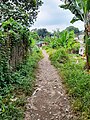 Bekas railbed jalur kereta api Rangkasbitung-Labuan.