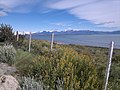 Lake Argentino as seen from the road to Los Glaciares National Park