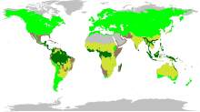 Biome waar Fabaceae voorkom