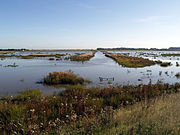 Paull Holme Strays lagoon (2007)