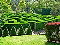 Vancouver hedge maze