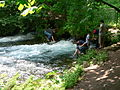 Vrelo Bosne