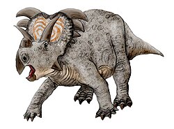 Medusaceratops