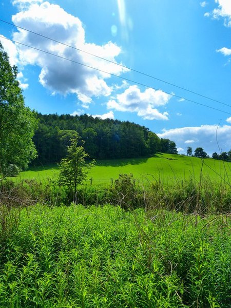 File:Barlae Hill - geograph.org.uk - 2980227.jpg