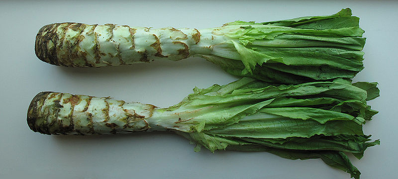 File:Celtuce.jpg