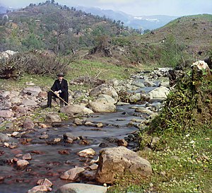 Prokudin-Gorski